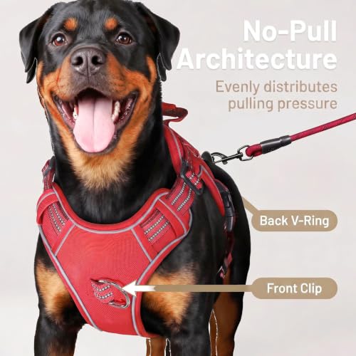 Dog Harness and Leash Set for Small Dogs (Red / S)
