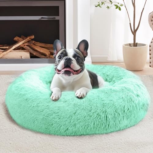 Calming Dog Bed Medium Size Dog (Mint Green / 31.0"L x 31.0"W x 8.0"Th)