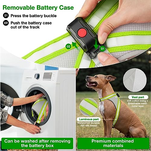 Light Up Dog Harness (Medium / Green)