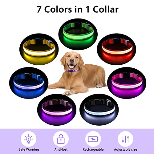 Light up Dog Collar (Purple / L(19 inch-23.6 inch))