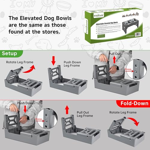 Elevated Dog Bowls (2 Stainless Steel Bowls / Gray)