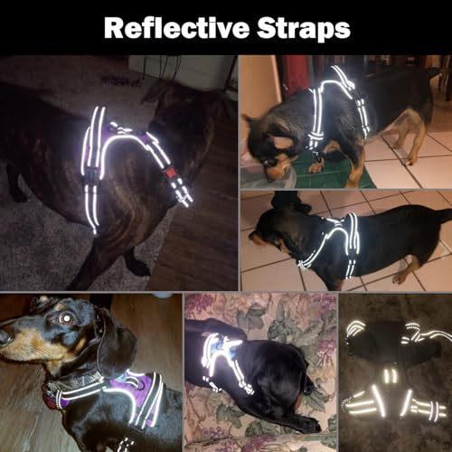 No Pull Dog Harnesses for Small Dogs Reflective Adjustable (Small / Pink)