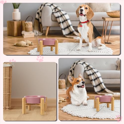 Elevated Slow Feeder Dog Bowl (Pink / 1.5 Cups)