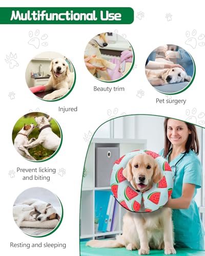 Inflatable Dog Cone (‌Melon / M(12"-15"))