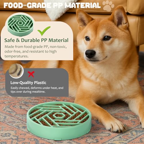 Slow Feeder Dog Bowl (mint green)
