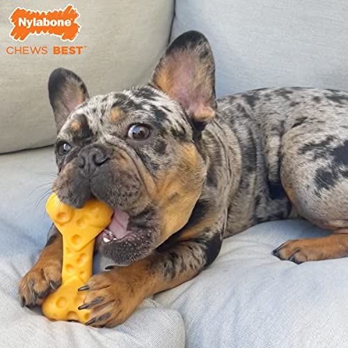 Power Chew Cheese Bone Dog Chew Toy (Cheese 1 Pack / Medium)