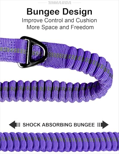 Heavy Duty Dog Leash (Blue)