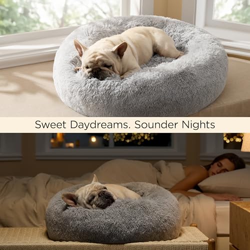 Calming Cat Beds Donut Round Washable Kitten Bed (20"L x 20"W x 6"Th / Pale Grey)