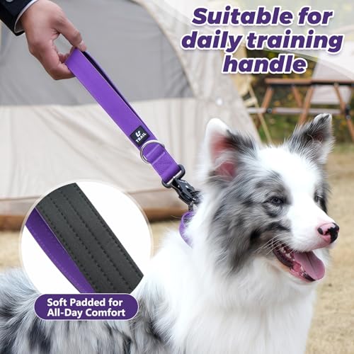14 Inch Traffic Dog Leash for Large Dogs (Purple)