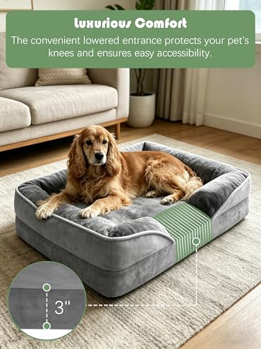 Orthopedic Dog Bed with Sides (35.0"L x 25.0"W x 6.5"Th / Grey)