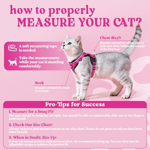 Cat Harness and Leash Set (Xs / Rose Red)