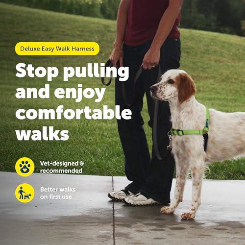 Easy Walk Deluxe Dog Harness (Medium / Apple Green)