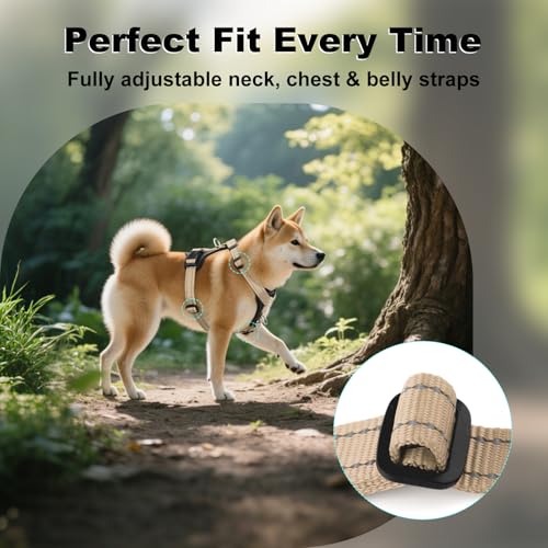 No Pull Dog Harness with Leather Accents (L / Beige)