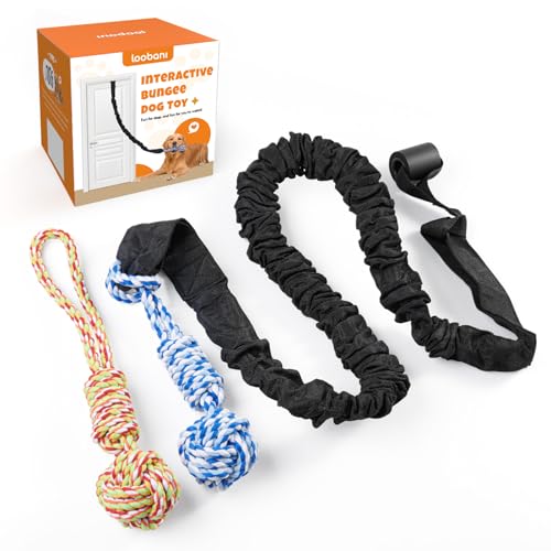 Outdoor Bungee Tug Toy (Blue+Orange)