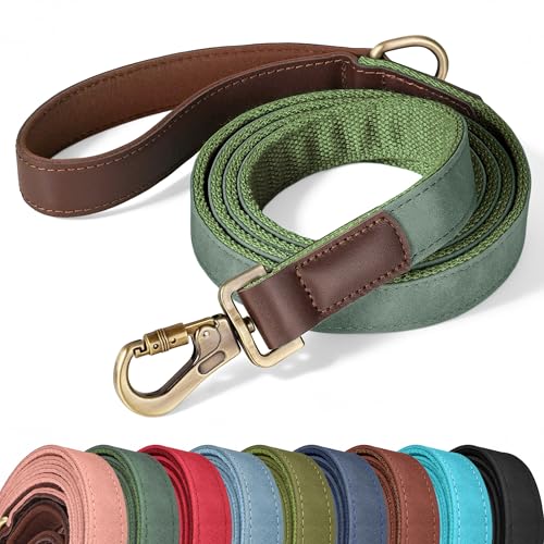 PU Leather Dog Leash for Large Dogs (Green / 1"x 6FT)