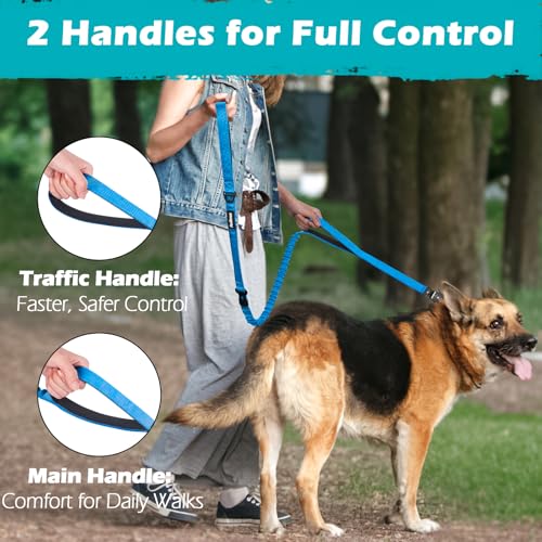 Heavy Duty Tactical Dog Leash (Light Blue)