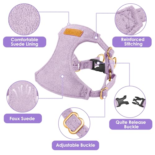 No Pull Dog Harness with Leash for Small Medium Dogs (X-Small(6-11lb) / Solid Purple)