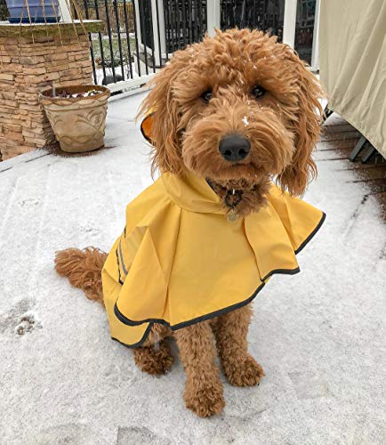 SPOT Rainy Days Slicker (X-Small)