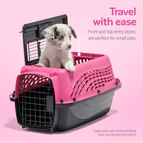 Two Door Plastic Pet Kennel (Two-door / 19.4"L x 10.0"W x 12.8"H / PINK)