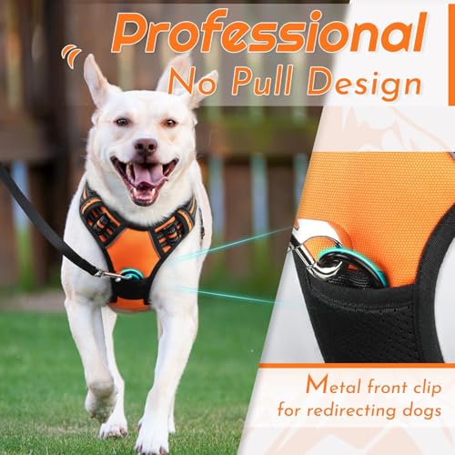 Dog Harness for Small Dogs (Small / Orange)