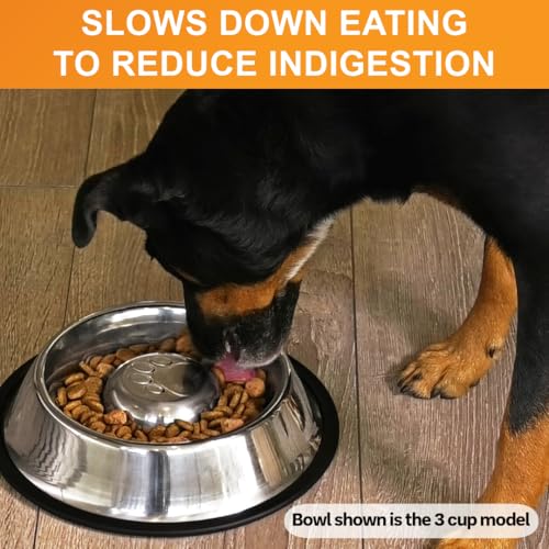 Stainless Steel Slow Feed Bowl (5 Cup - Non Tip)