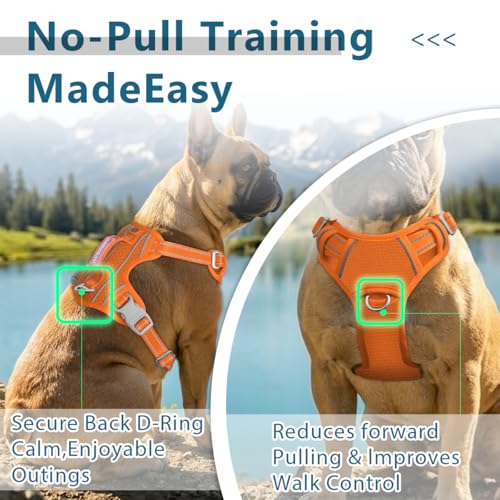 Dog Harness No Pull with ID Tag Pocket (X-Large(Chest:30-38”) / Orange)