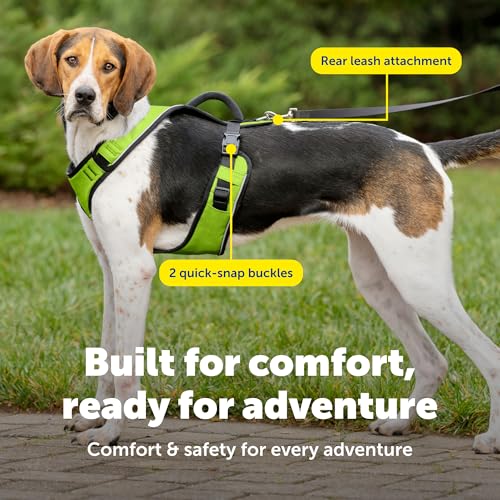 EasySport Dog Harness (Large / Apple Green)