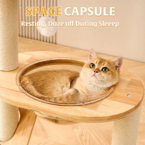Solid Wood Cat Tree Tower with Scratching Post (White-Corduroy)