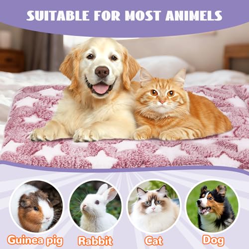 2 Pcs Self Warming Cat Bed (31x23.6 inch)