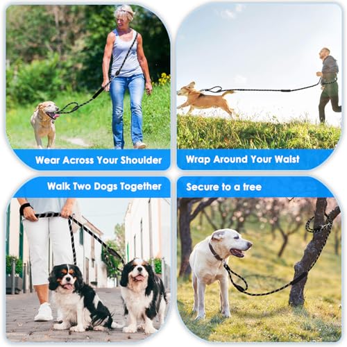 Hands Free Dog Leash (Black)
