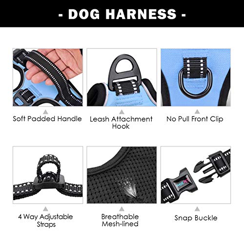 No Pull Dog Harness Reflective Adjustable Vest with Training Handle (Small / Baby Blue)