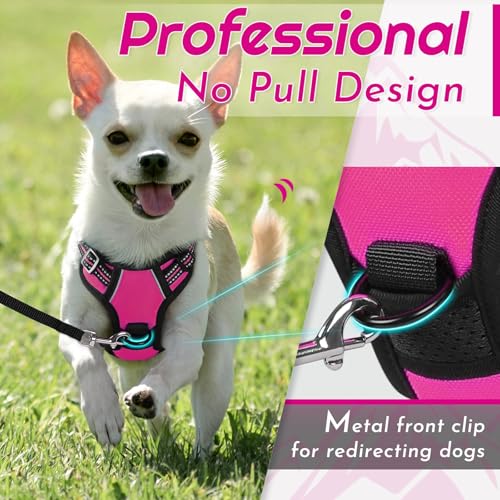 Dog Harness for Small Dogs (X-Small / Rose Red)