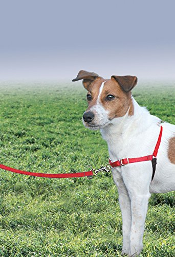 Easy Walk Harness (Small/Medium / Red/Black)