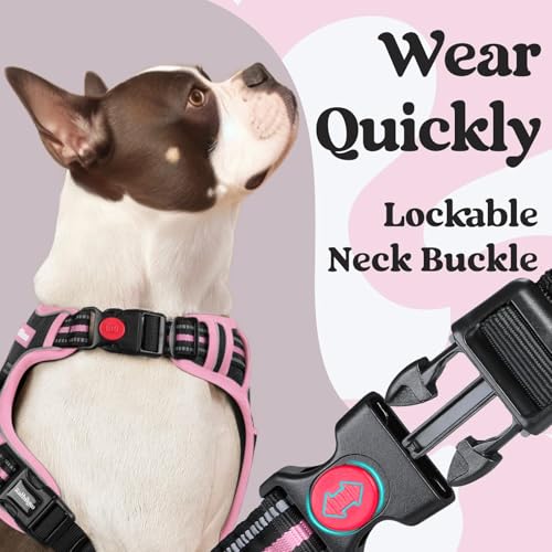 Dog Harness Medium Sized (Medium / Black & Pink)