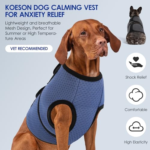 Dog Anxiety Calming Vest (Blue / Large)