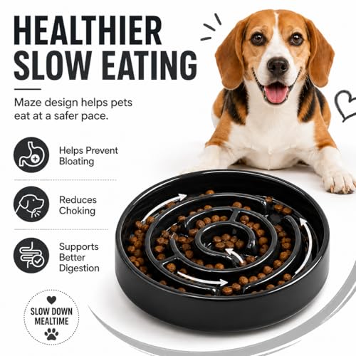 Ceramic Slow Feeder Dog Bowl (Black)