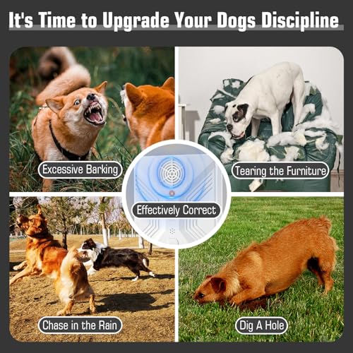 Anti Barking Devices