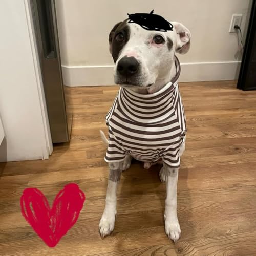 Turtleneck Dog Shirt Cute Doggie Embroidery Super Soft Dog Sweatshirt Stretchy Striped Puppy Pullover for Cats Small Medium Large Dogs (Black Striped / XXXX-Large)