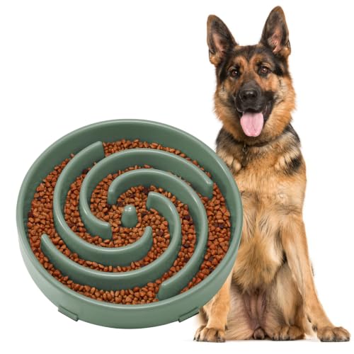 Slow Feeder Dogs Bowl for Large Medium Dogs (Large / Sage Green)