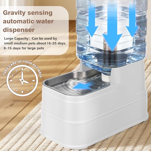2.2 Gallon Pet Automatic Dog Water Dispenser Cat Gravity Waterer Feeder with Stainless Steel Bowl Large Capacity Puppy Feeding Raised Bowls with Filter (White / 8L(2.2 Gallon))