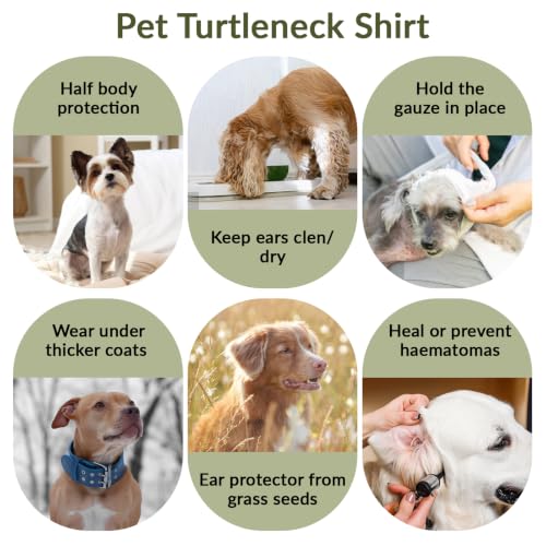 Dog Neck Wound Cover (OliveDrab / 2XL(Chest: 31.1"))