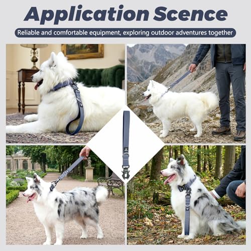 14 Inch Traffic Dog Leash with Padded Handle (Steel Blue Gray)