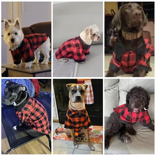 Fall Dog Shirt (Small / Orange)