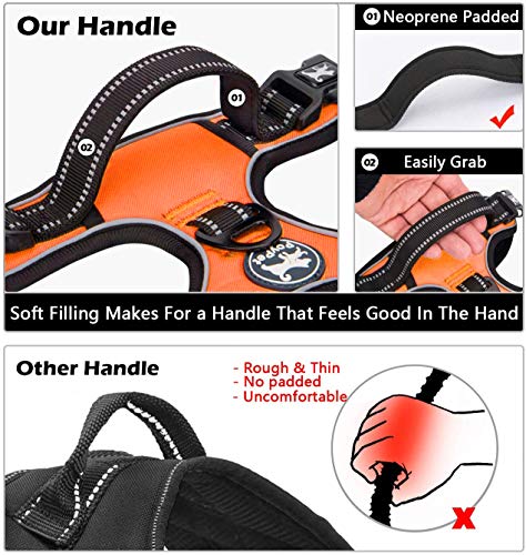 No Pull Dog Harness Large with Front Clip & Neck Release Buckle (XL / Orange)