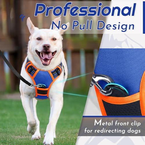 Dog Harness for Small Dogs (Small / Blue & Orange)
