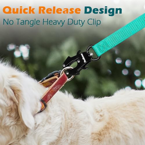 Heavy Duty Tactical Dog Leash (Turquoise)