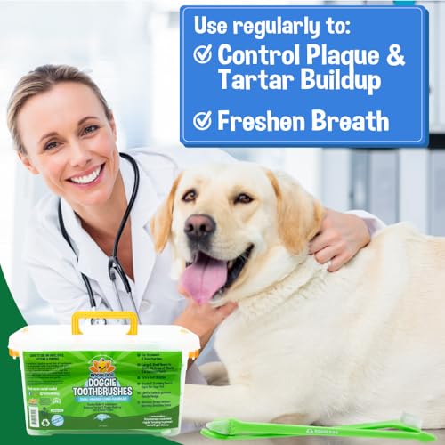 Dual Headed Toothbrush for Dogs & Cats (1 Count (Pack of 100))