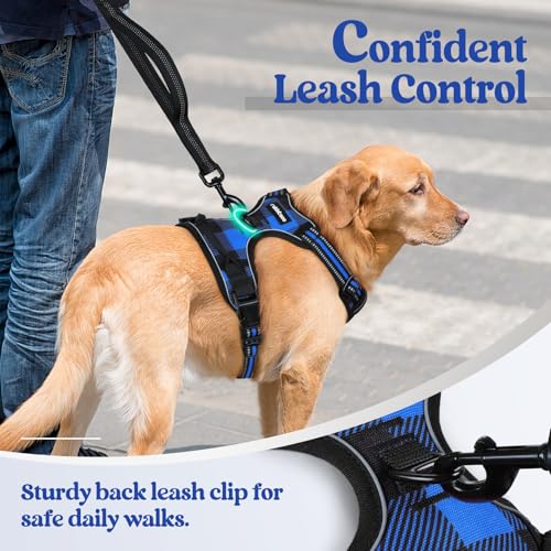Dog Harness No Pull Medium Sized with 2 Leash Clips (Medium / Blue Plaid)