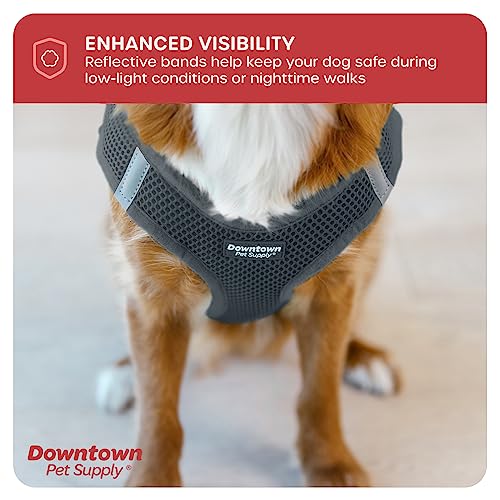Step in Dog Harness for Small Dogs No Pull (X-Small / Titanium)