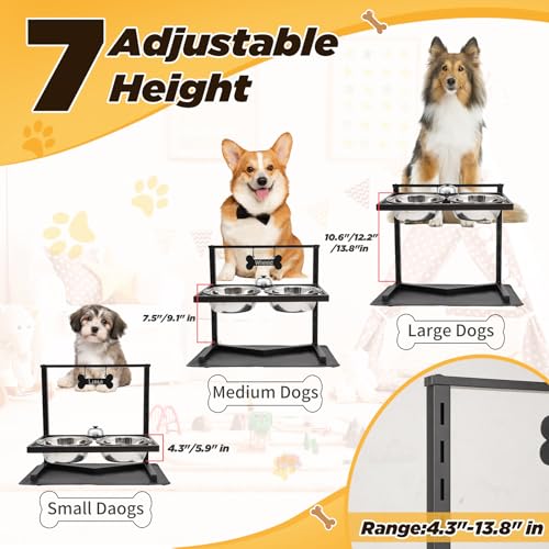 Elevated Dog Bowls
